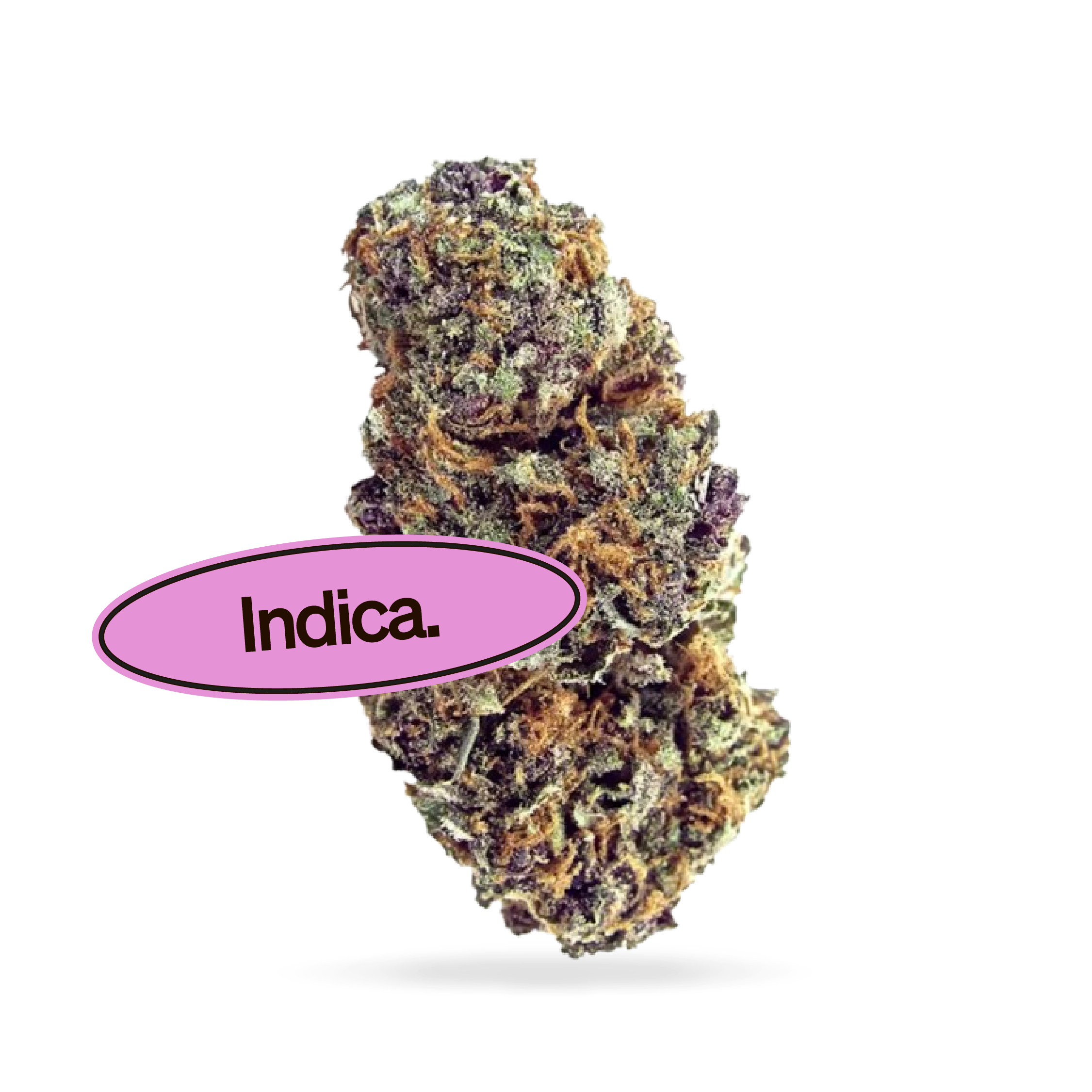 Forbidden Fruit