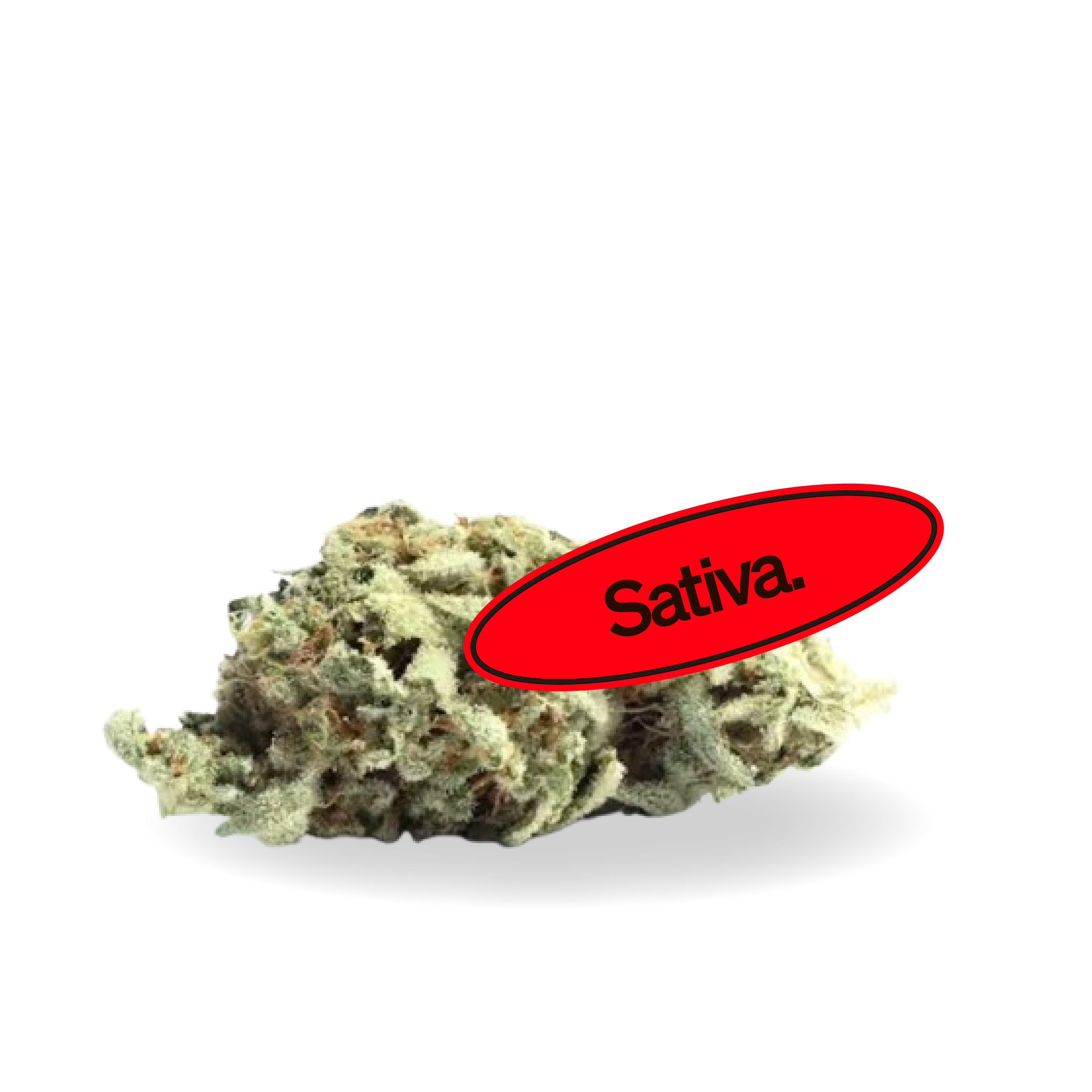 Hawaiian Snow