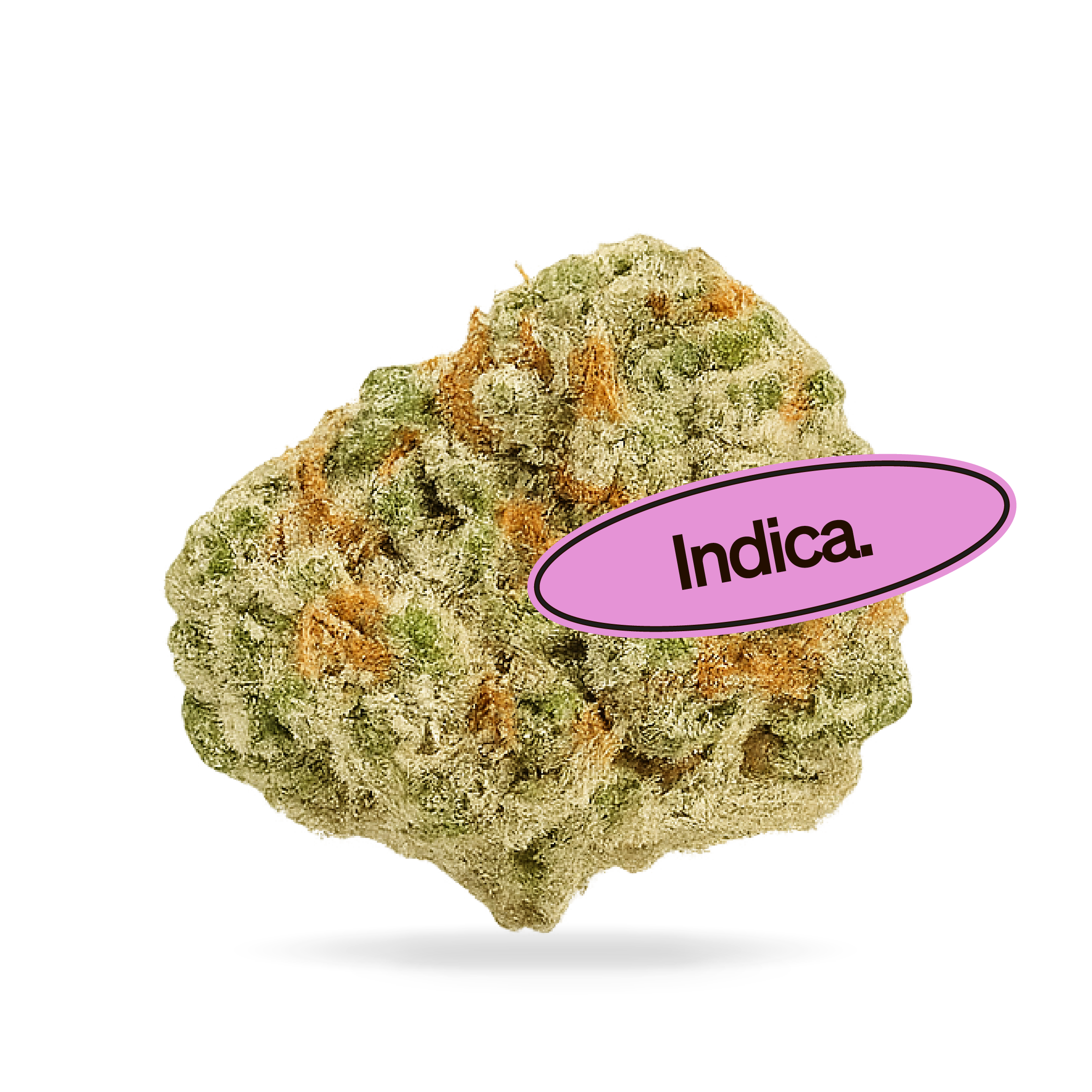 Northern Lights