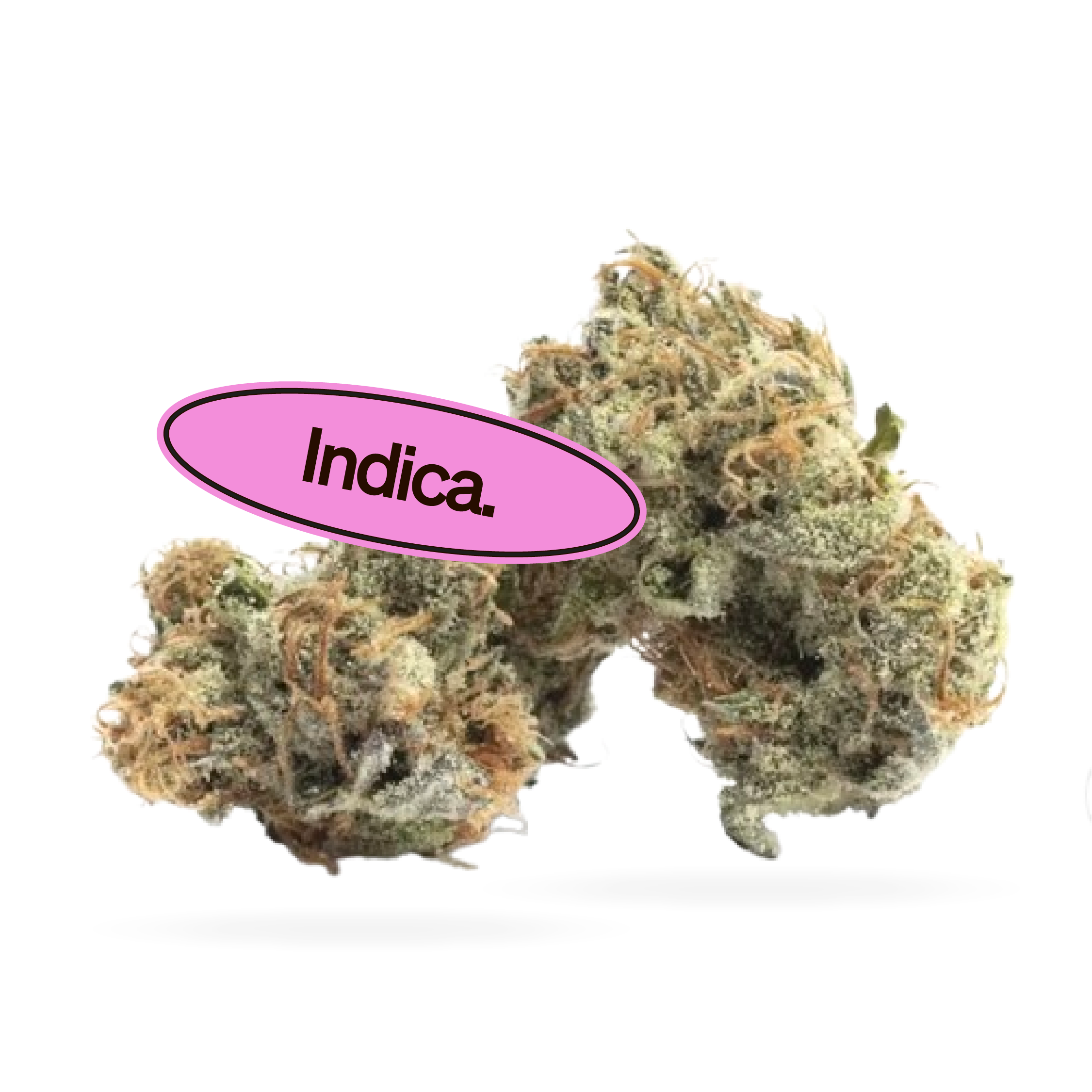 Lavender Haze
