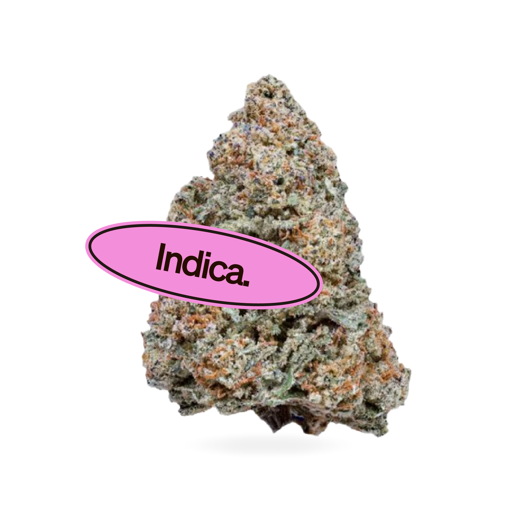 MAC 1 (Miracle Alien Cookies 1)