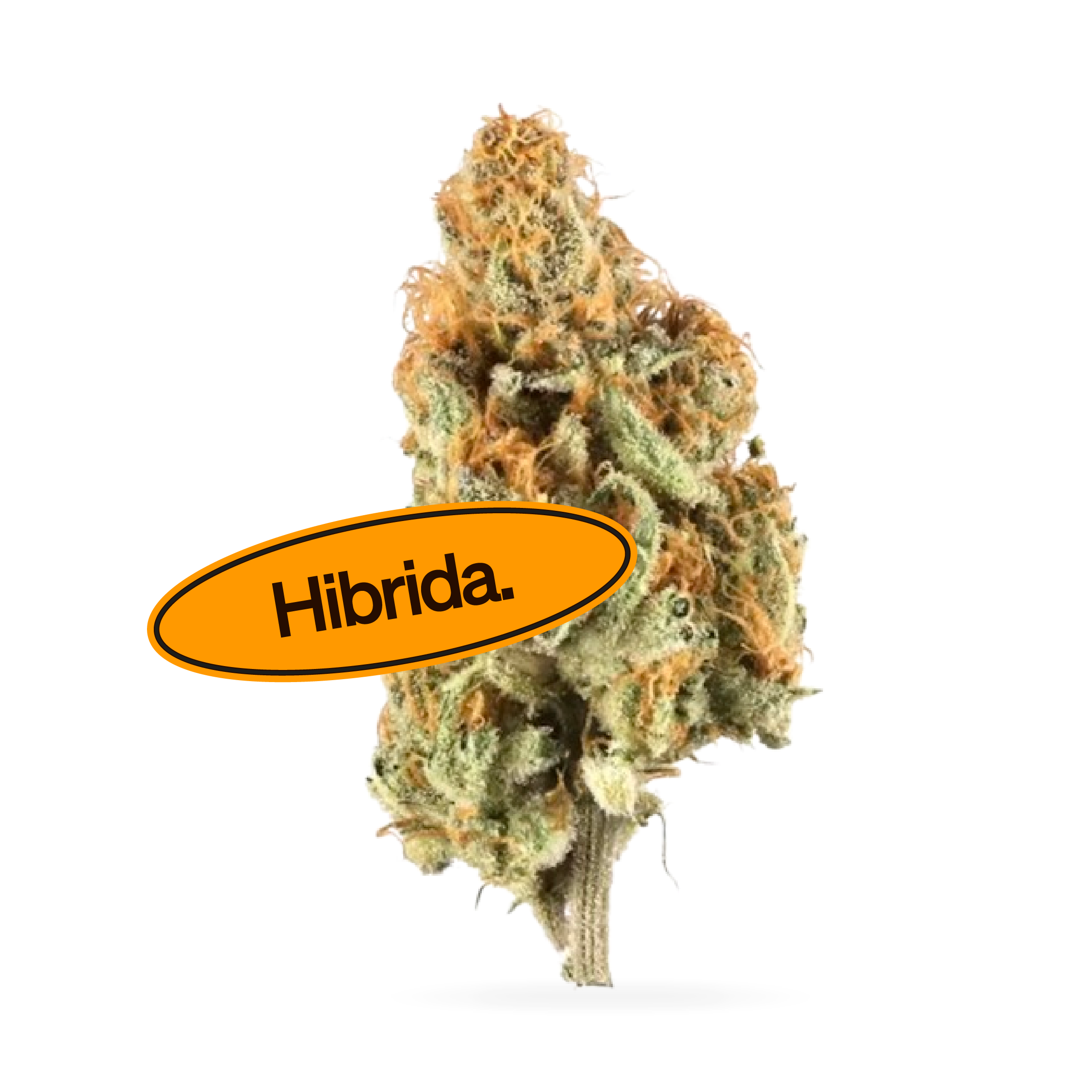 Banana Cream