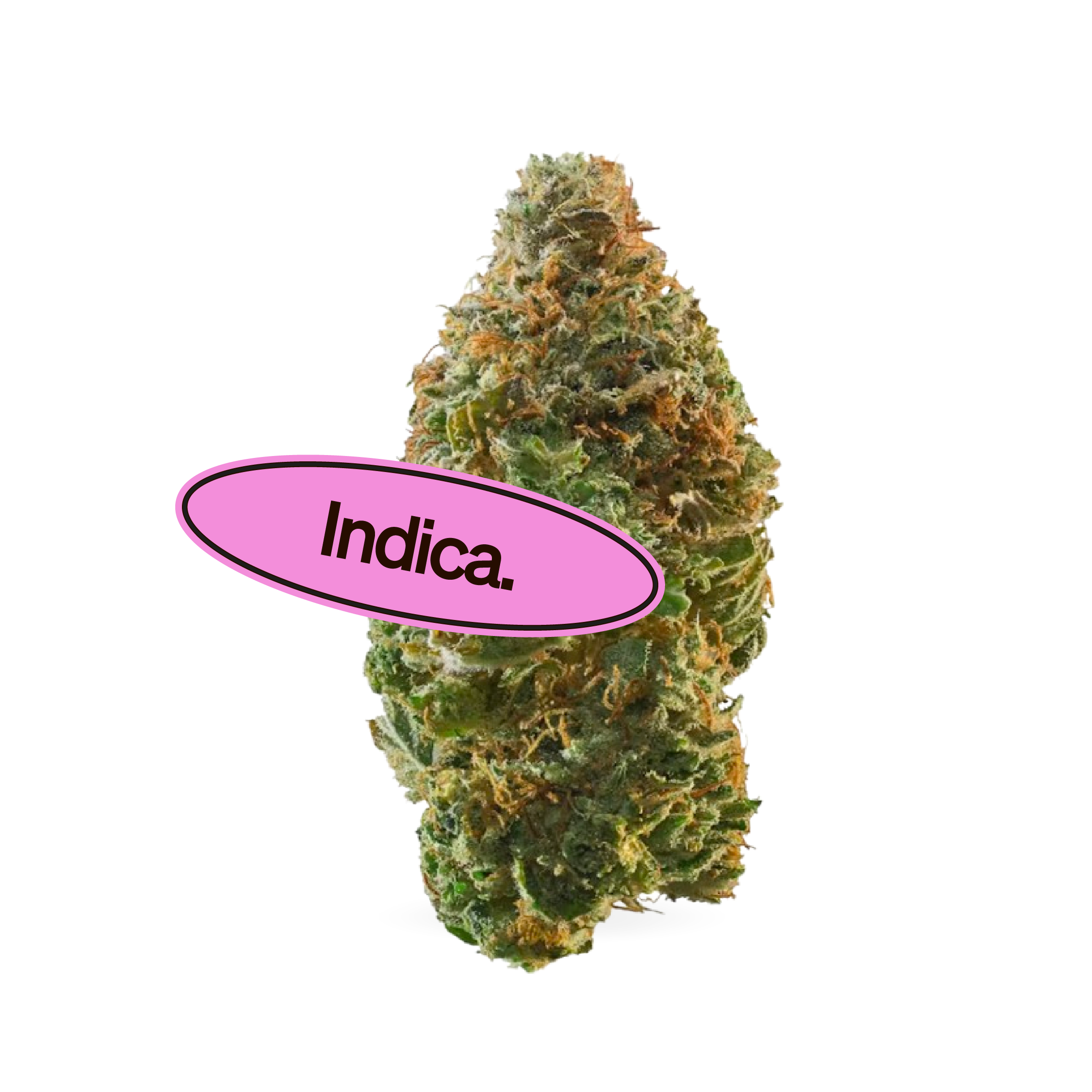 Kosher Kush