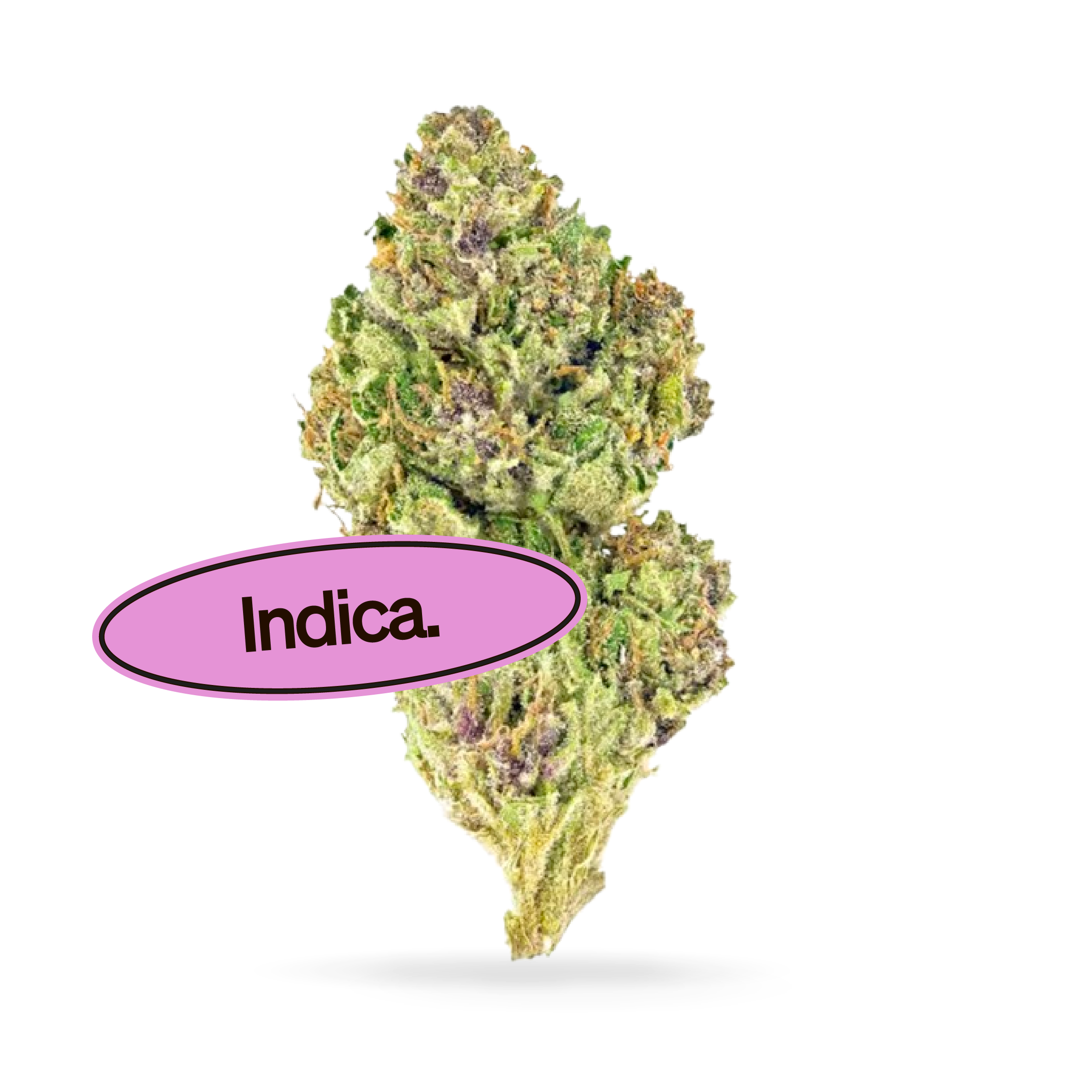 Pink Kush